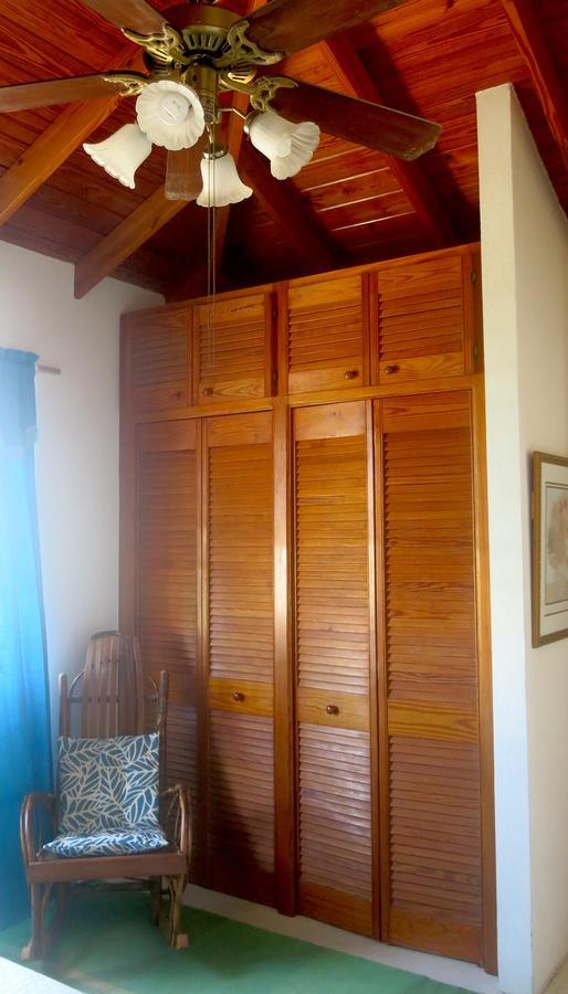 Gemini House Bed & Breakfast Christ Church Dış mekan fotoğraf