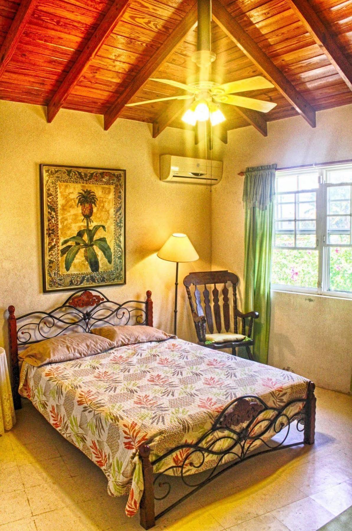 Gemini House Bed & Breakfast Christ Church Dış mekan fotoğraf