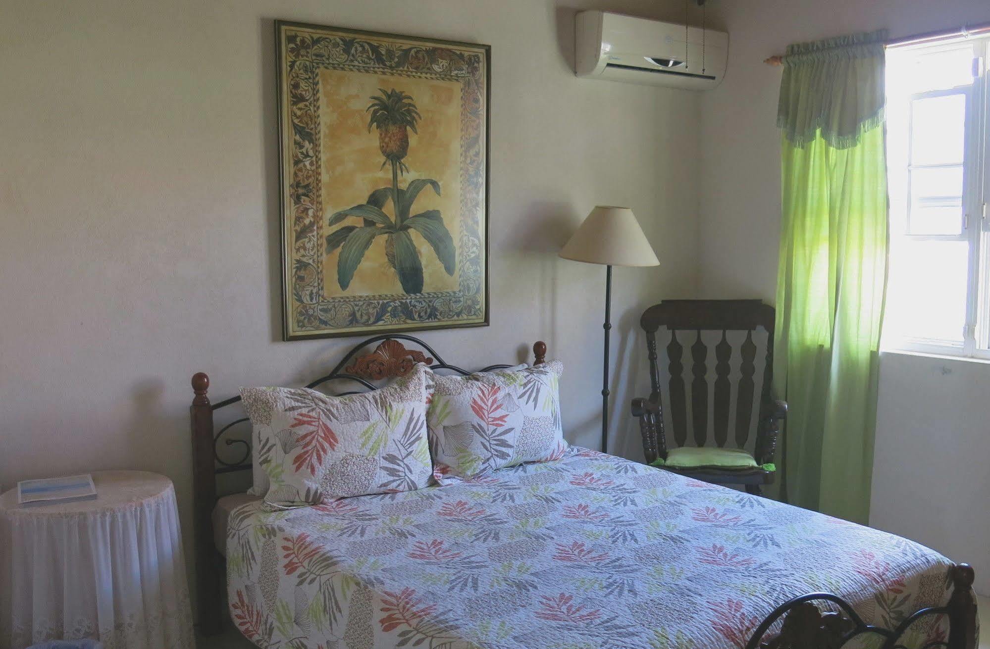 Gemini House Bed & Breakfast Christ Church Dış mekan fotoğraf