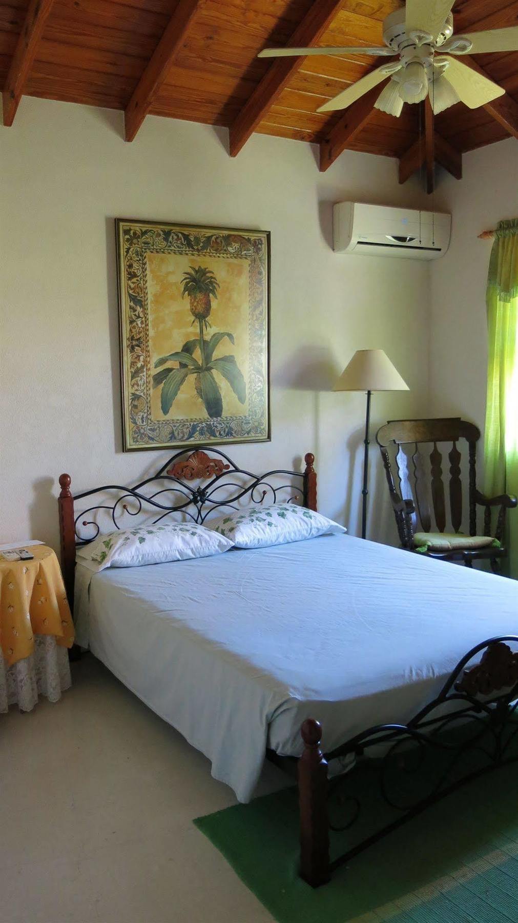 Gemini House Bed & Breakfast Christ Church Dış mekan fotoğraf