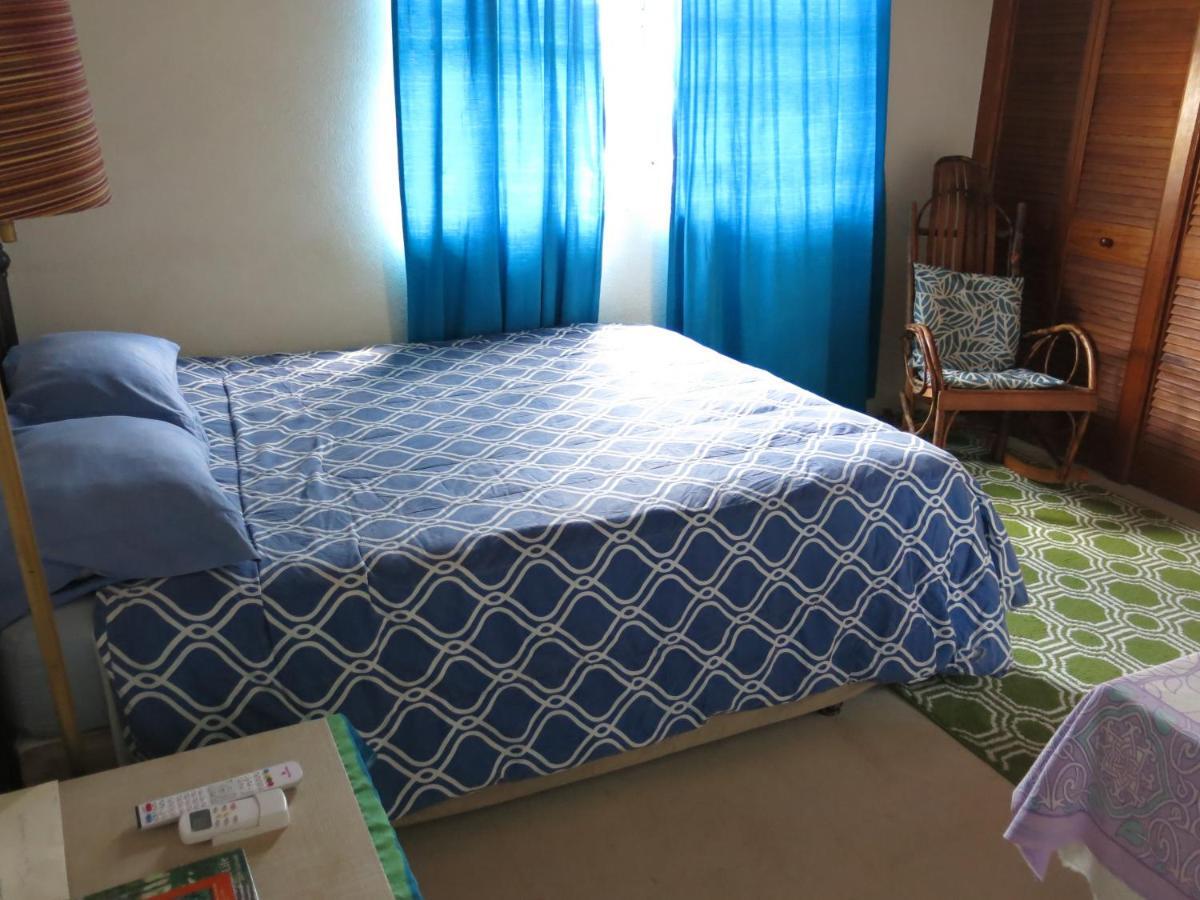 Gemini House Bed & Breakfast Christ Church Dış mekan fotoğraf